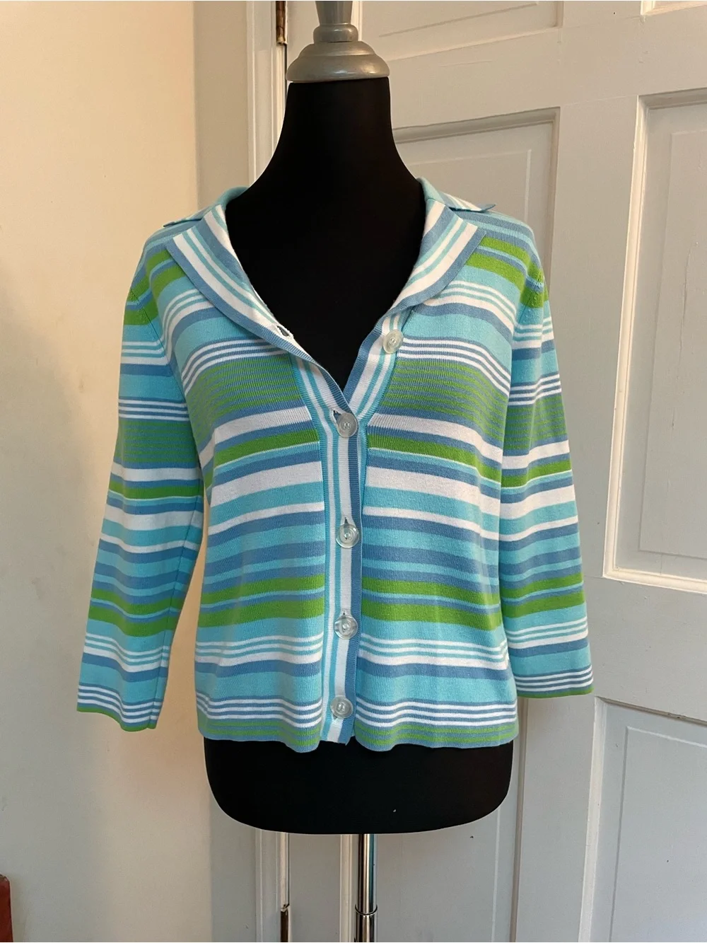 Liz Claiborne Striped Blue & Green Button-Front Women's Cardigan